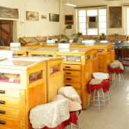 Museum of Geology