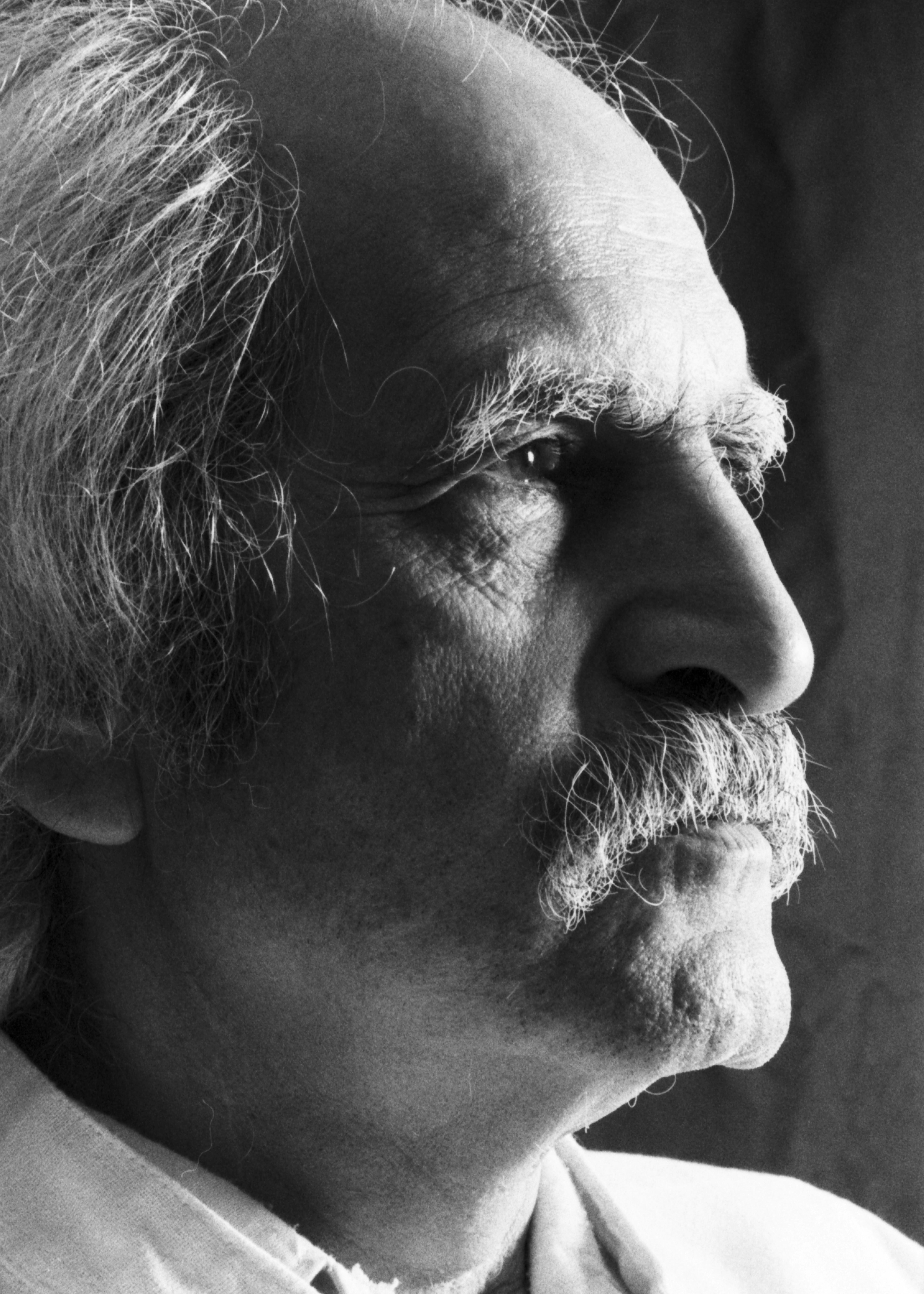 مجموعه آثار محمود روح‌الامینی
